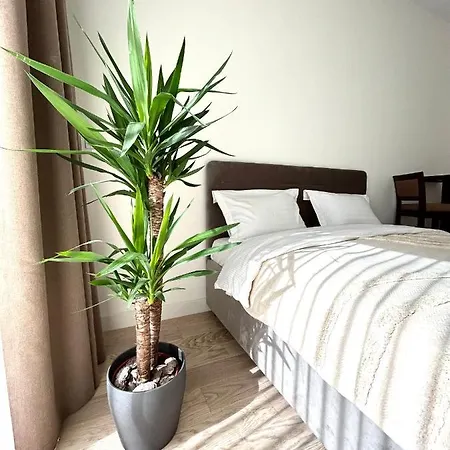 Luxury Waterfront View - Bw River View *